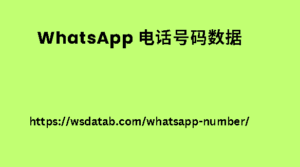 WhatsApp 电话号码数据