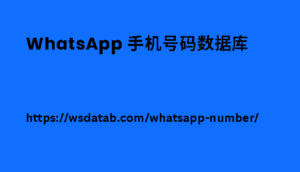 WhatsApp 手机号码数据库