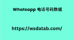 Whatsapp 电话号码数据