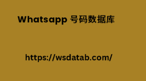 Whatsapp 号码数据库