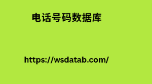 电话号码数据库