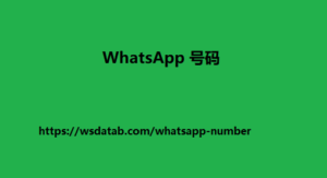 WhatsApp 号码