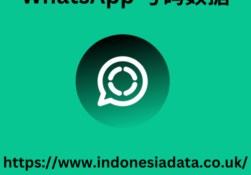 WhatsApp 号码数据