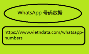 WhatsApp 号码数据