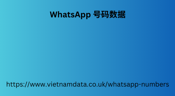 WhatsApp 号码数据