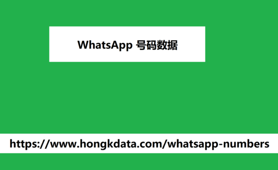 WhatsApp 号码数据