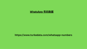 WhatsApp 号码数据 