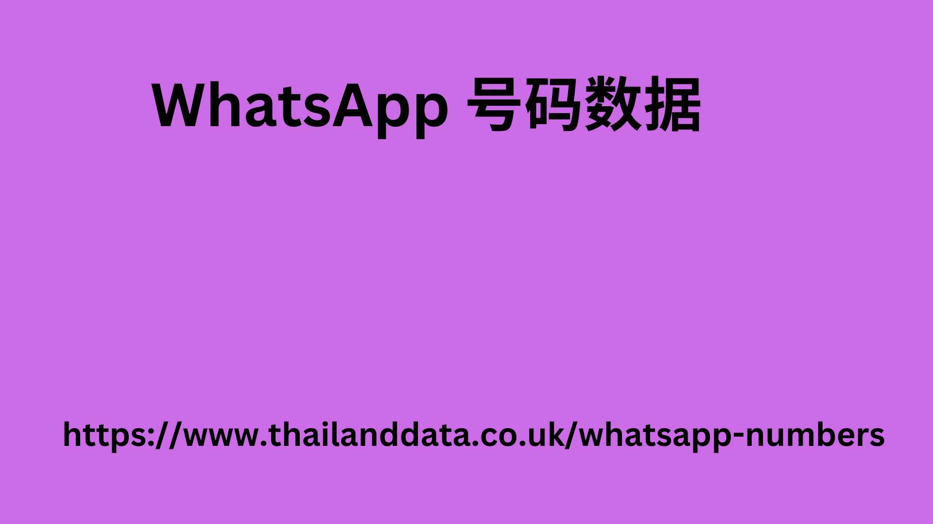 WhatsApp 号码数据