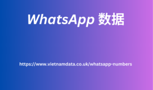 WhatsApp 数据 