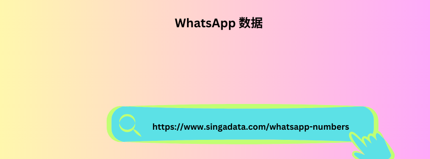 WhatsApp 数据