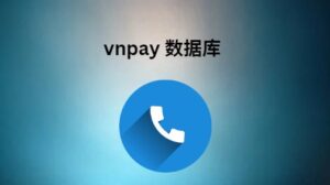 vnpay 数据库